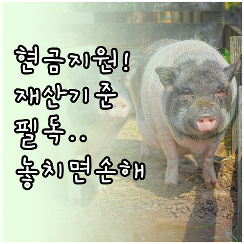 긴급복지 생계비 지원 금액과 재산 기..