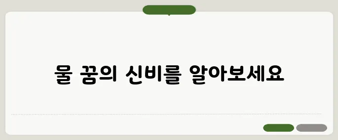 물 꿈 방법 꼭 알고 가세요