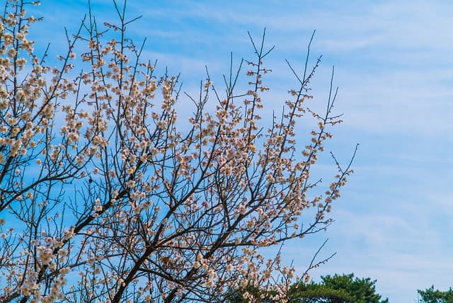 개인화된 여행의 시대: 전문 여행 플래너가 제안하는 특별한 여정