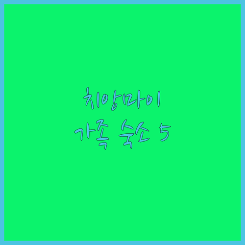 가성비 최고 치앙마이 호텔 추천 가족..