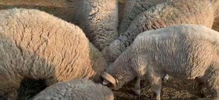 서울 근교 당일치기 봄 여행지 알아보기