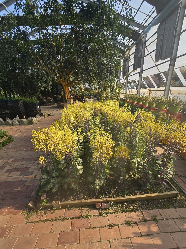 세계꽃식물원(LIAF)