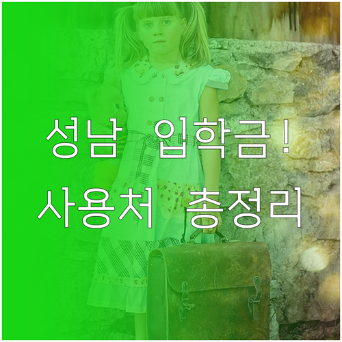 성남시 입학준비금 지급 방식과 항목별..