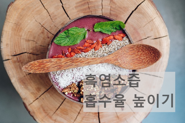 흑염소즙 복용방법 적당량 보양식