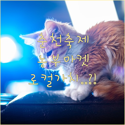 춘천막국수닭갈비축제 혁신 농부의 시장..