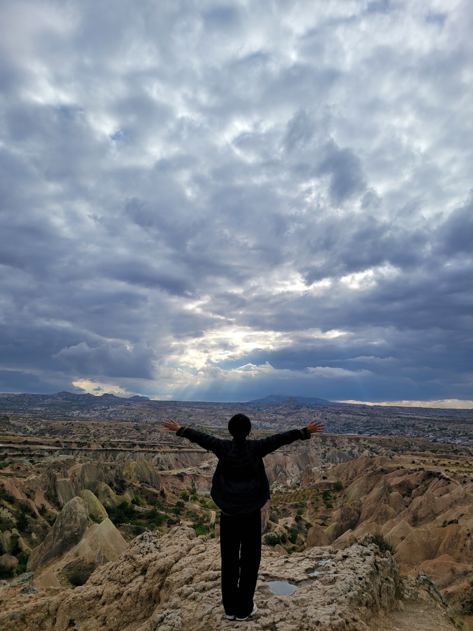 봄을 기다리는 마음