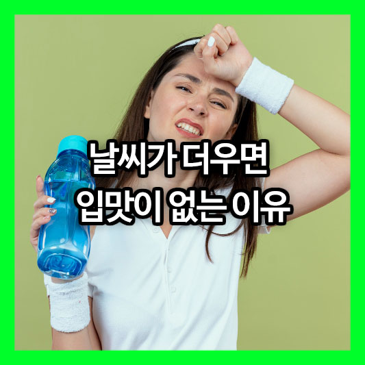 날씨가 더우면 입맛이 없는 이유