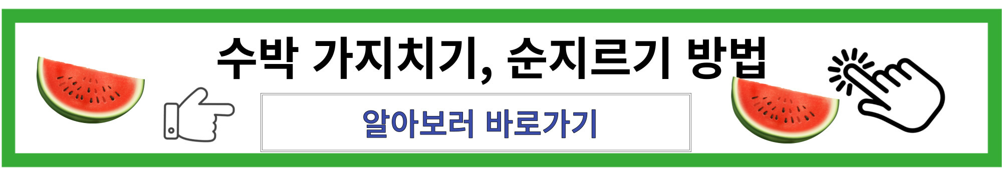 수박 가지치기, 순지르기 방법