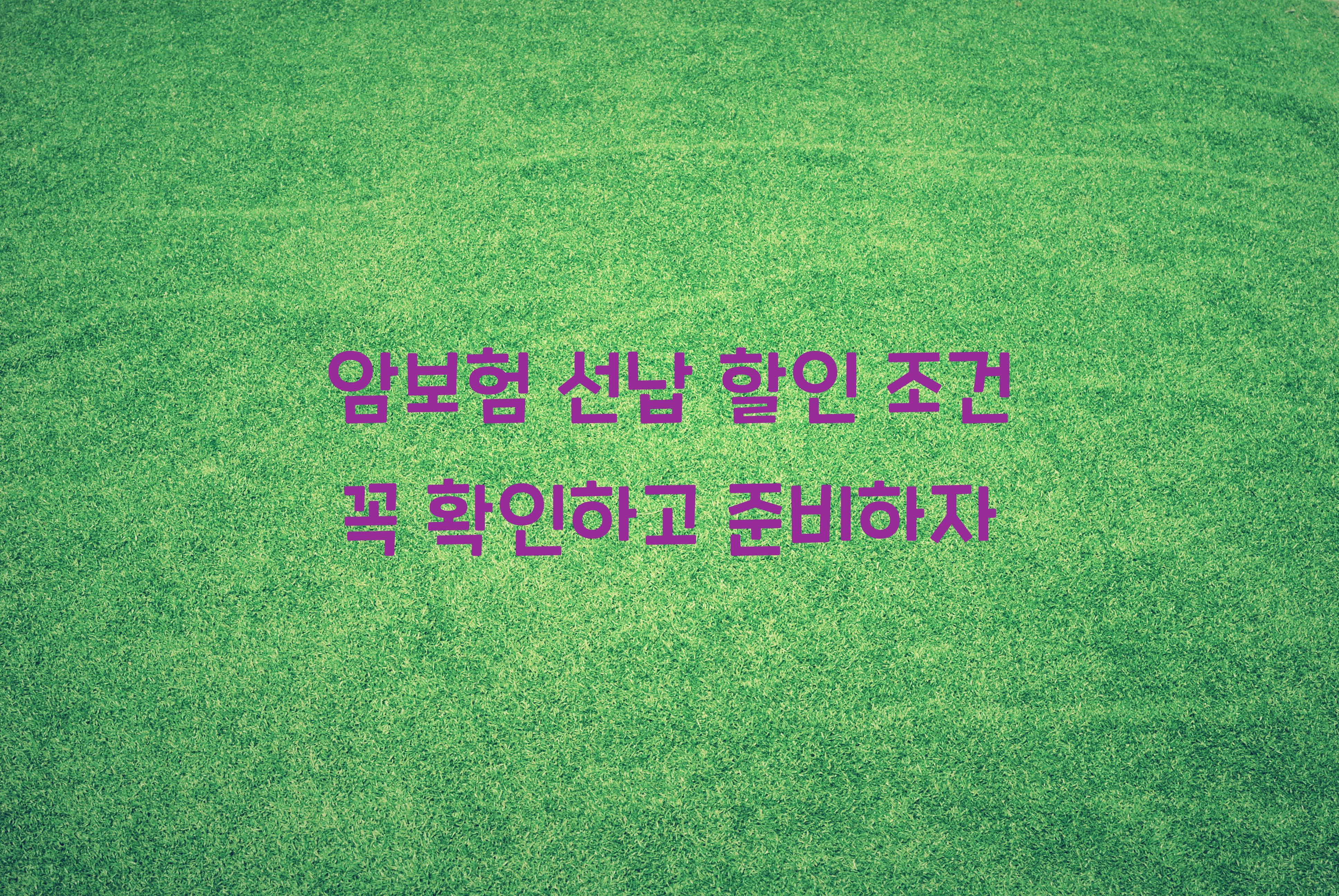 암보험 선납 할인 조건