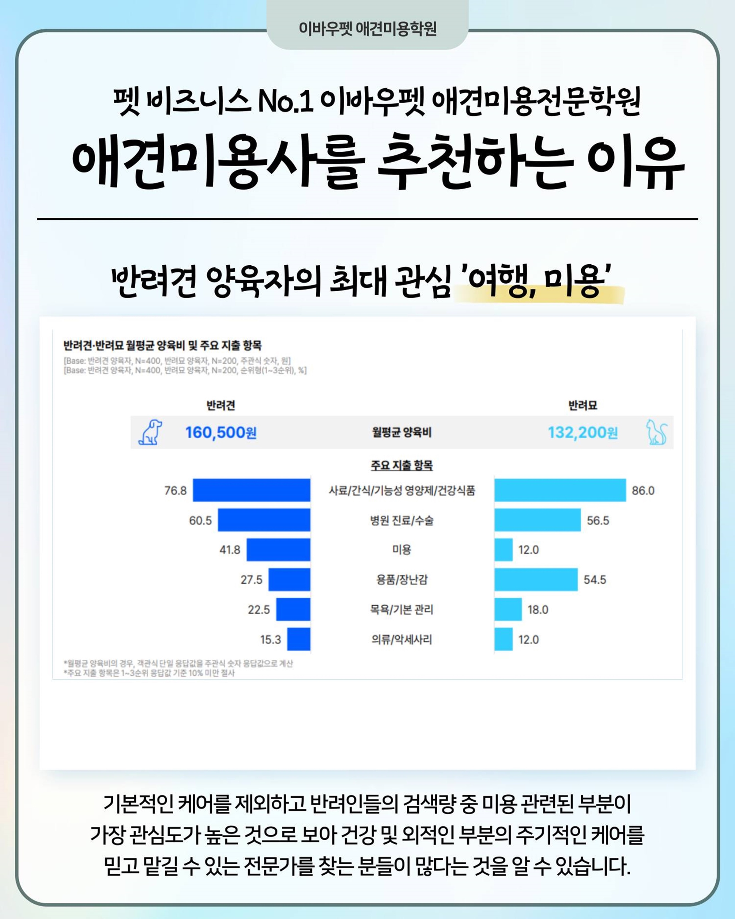 포항애견미용자격증