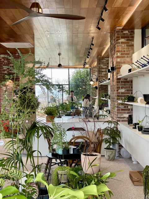 카페-소우모우에서-운영하는-플랜트샵인-금잔디농원-내부인테리어
