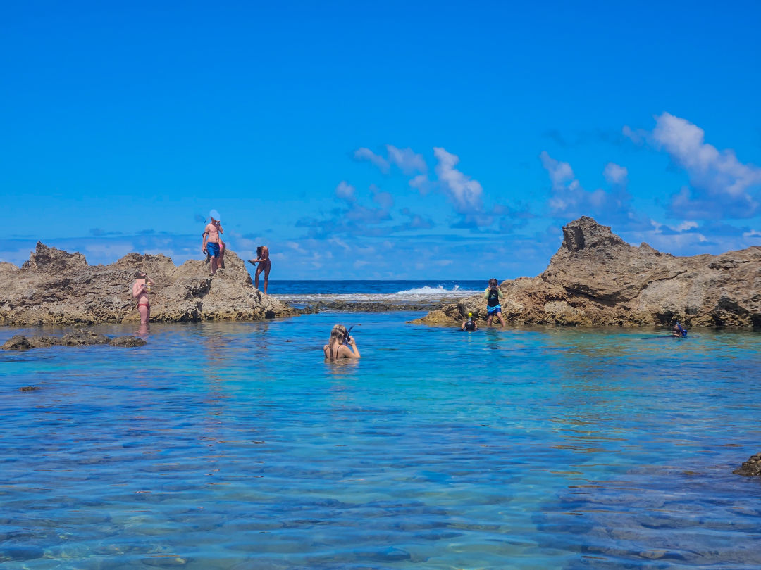 하와이 샥스코브