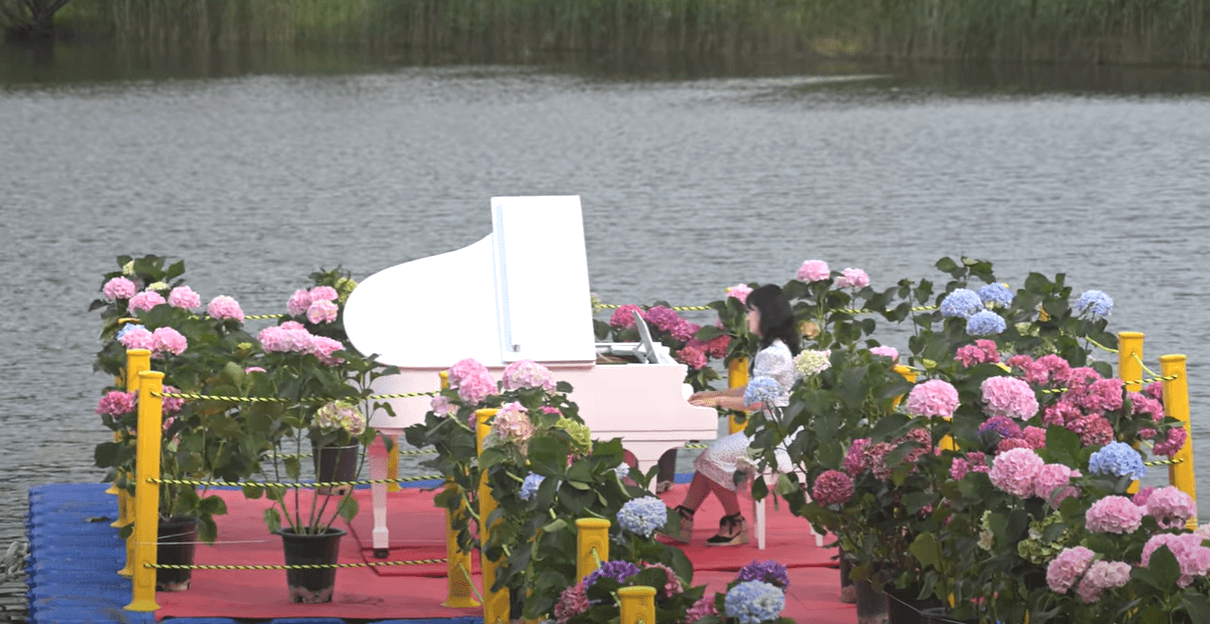 2025 강진 수국길 축제 : 축제 개요부터 방문 팁까지 총정리