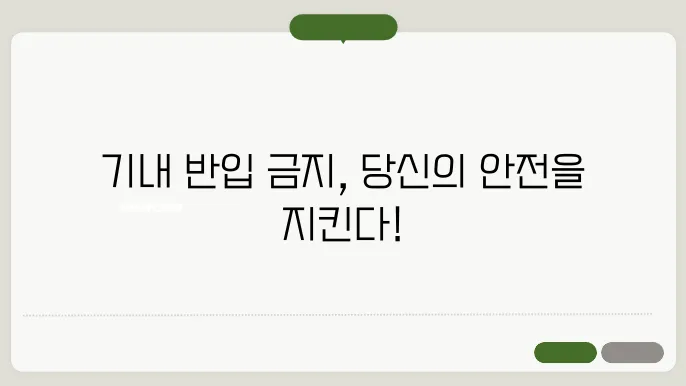 비행기 기내 반입금지 항목