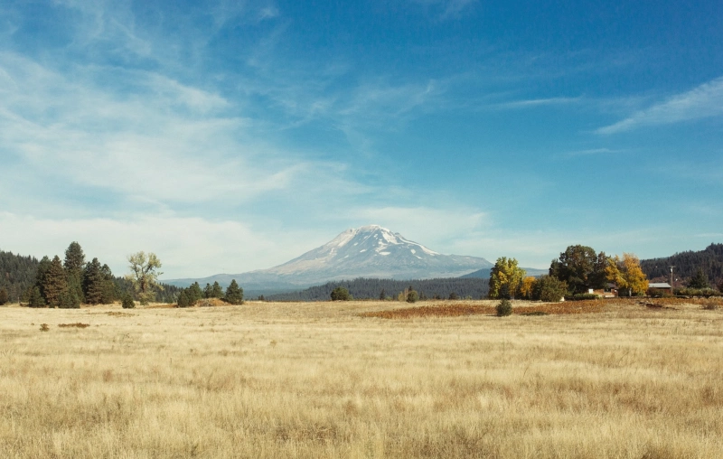 농어촌 인구소멸지역 84개