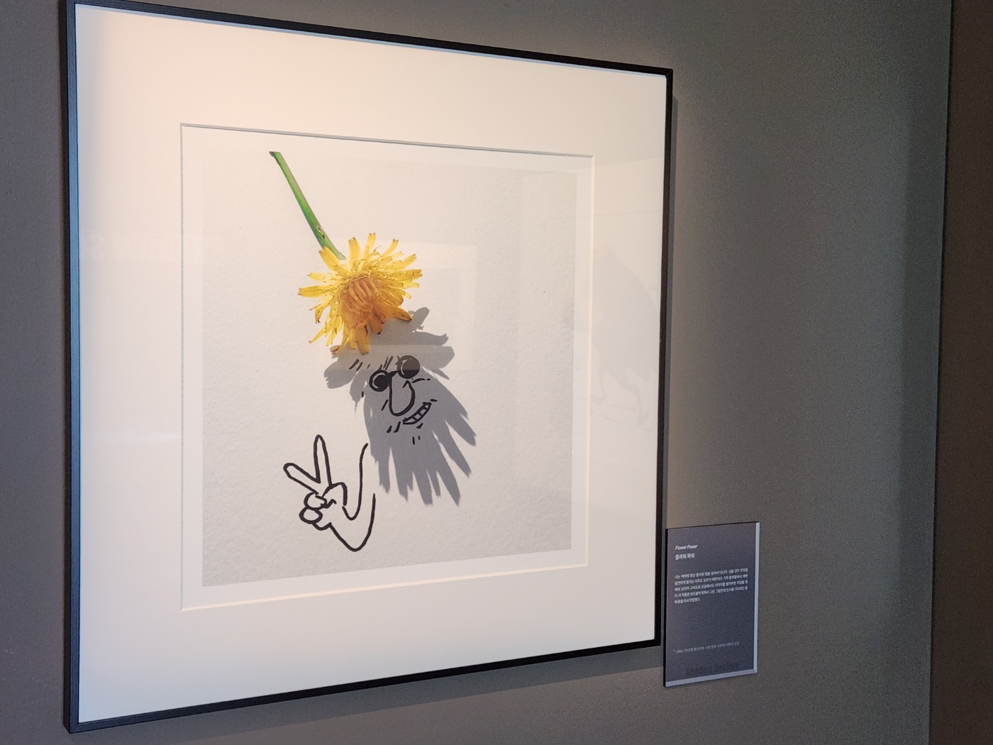 빈센트 발 전시