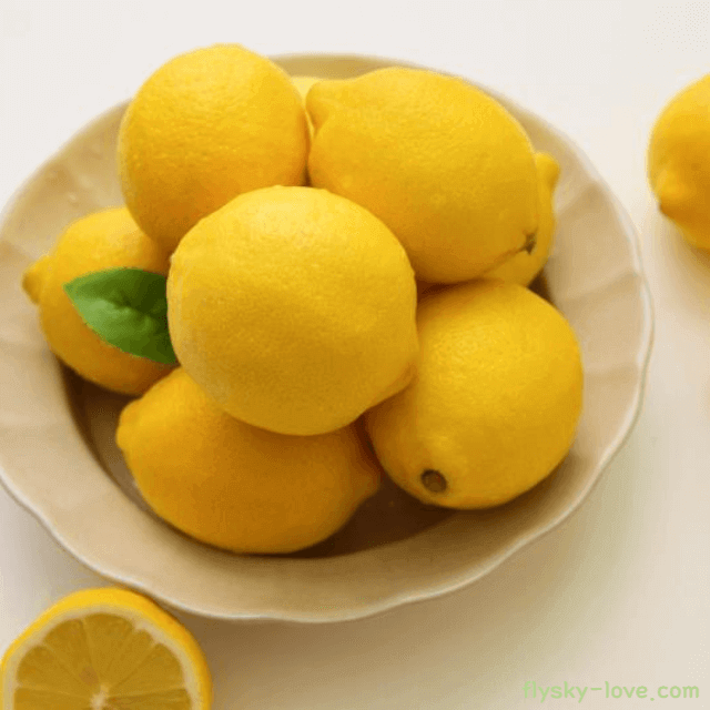 상큼한 레몬의 특징