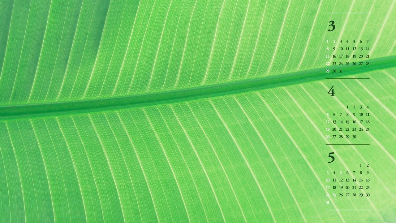 04 연두색 이파리 B - 2026년4월 달력배경화면