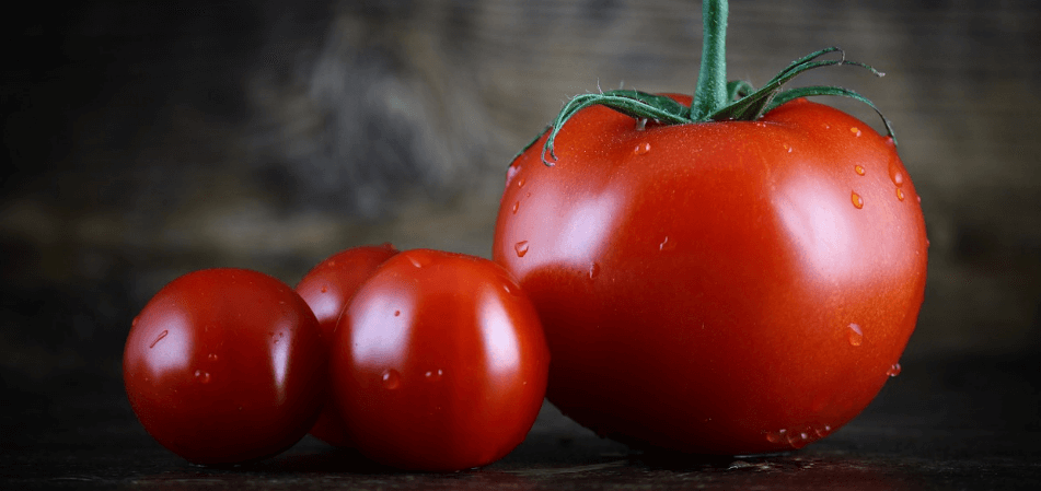 8월 제철 음식 사진 - 17