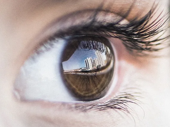 시력유지에 도움을 주는 결명자차