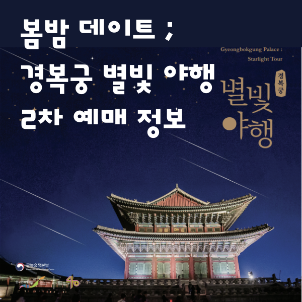 봄밤데이트