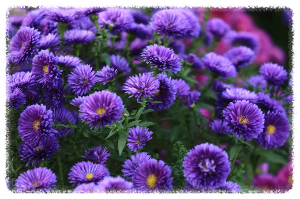 황룡강 생태공원