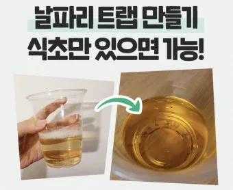 초파리 없애는 방법 효과 만점 초파리 트랩 만들기_20