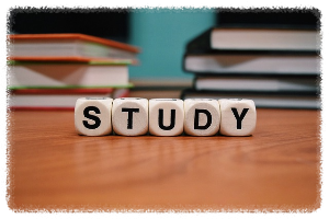 보조금 24 홈페이지