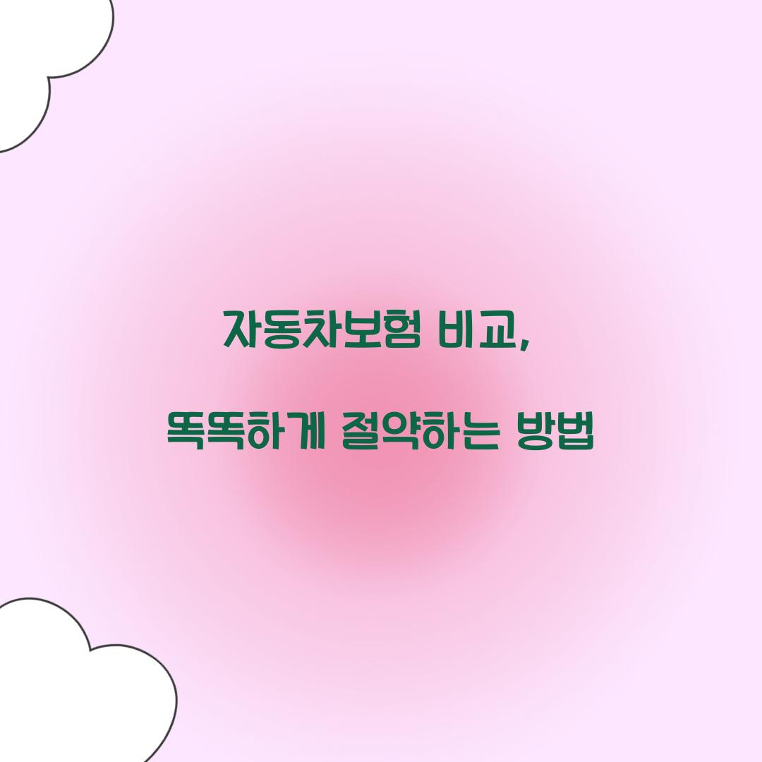 자동차보험 비교