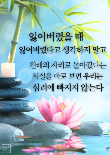 연꽃과 촛불이 함께한 평온한 수면 위 명언 이미지