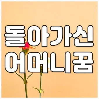 꿈에 돌아가신 어머니가 보이는 의미 정리_21