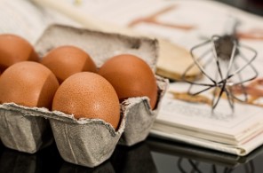 초파리 없애는 방법 124