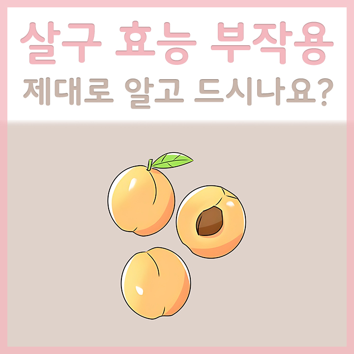살구