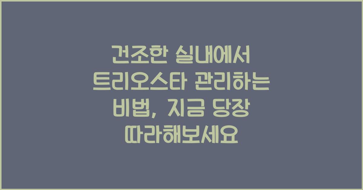 건조한 실내에서 트리오스타 관리하는 비법