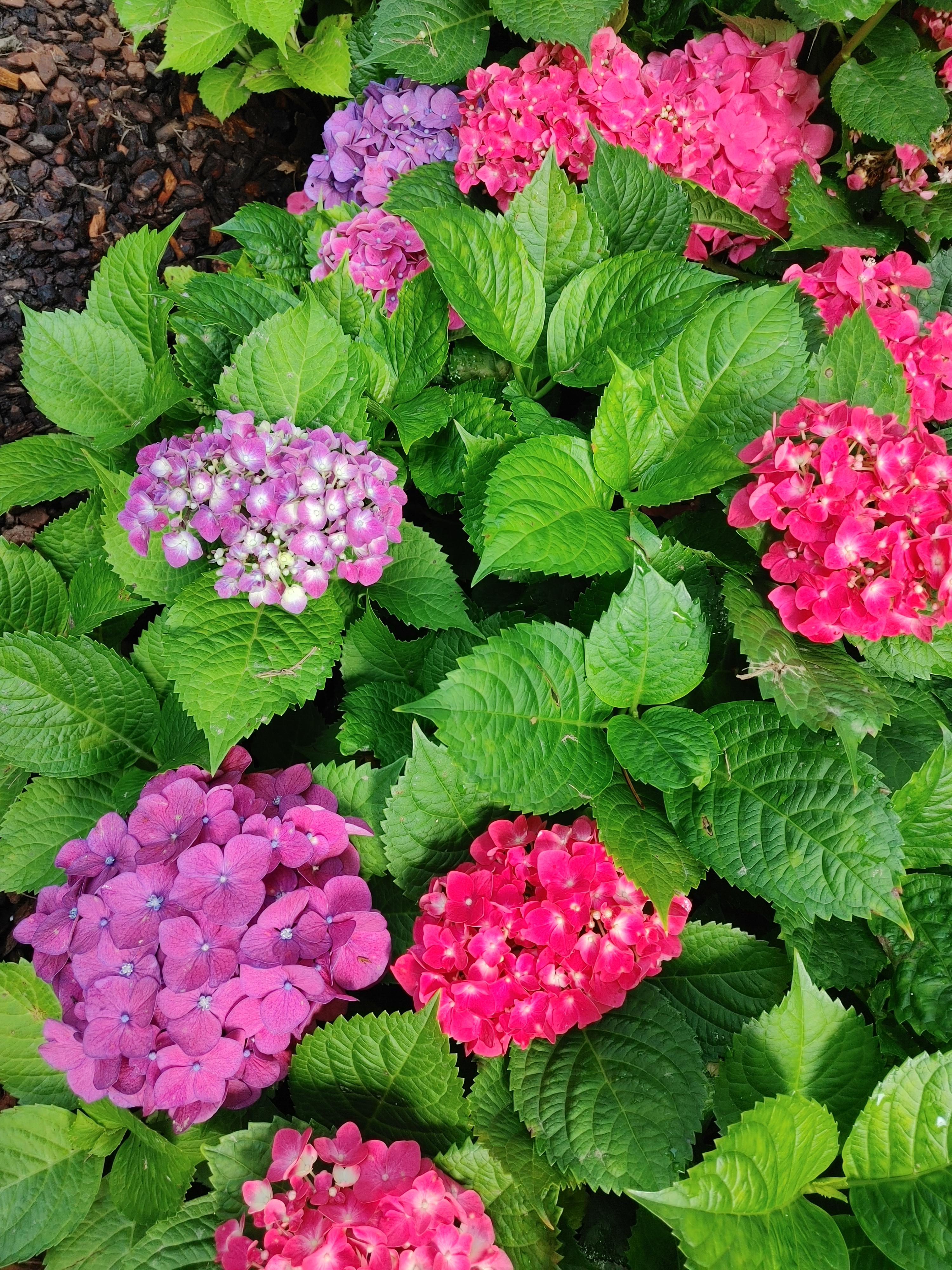 화담숲 예약방법 총정리!