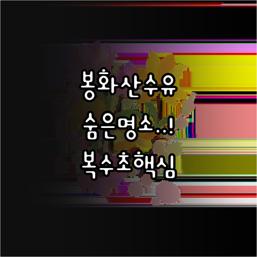 경북 봉화 3월 꽃구경 코스 띠띠미마..