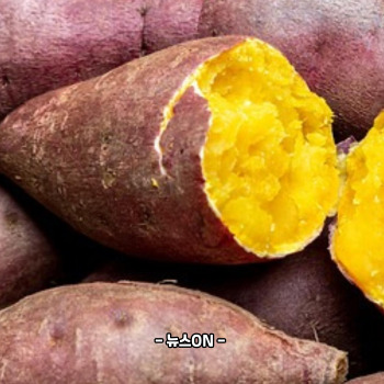 칼륨이 많은 음식