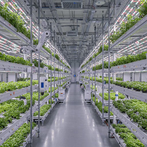 스마트가드닝, 스마트팜