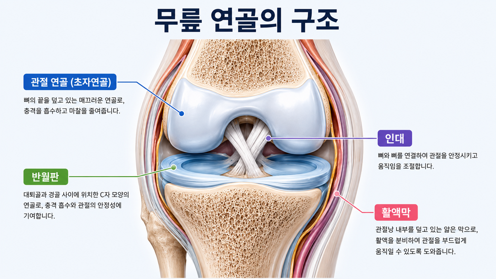 계단 내려갈 때 무릎이 시큰거린다면,연골 신호일 수 있습니다