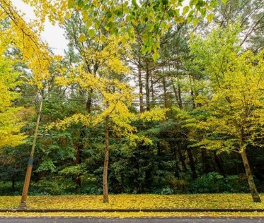 제주도 11월 가볼만한곳