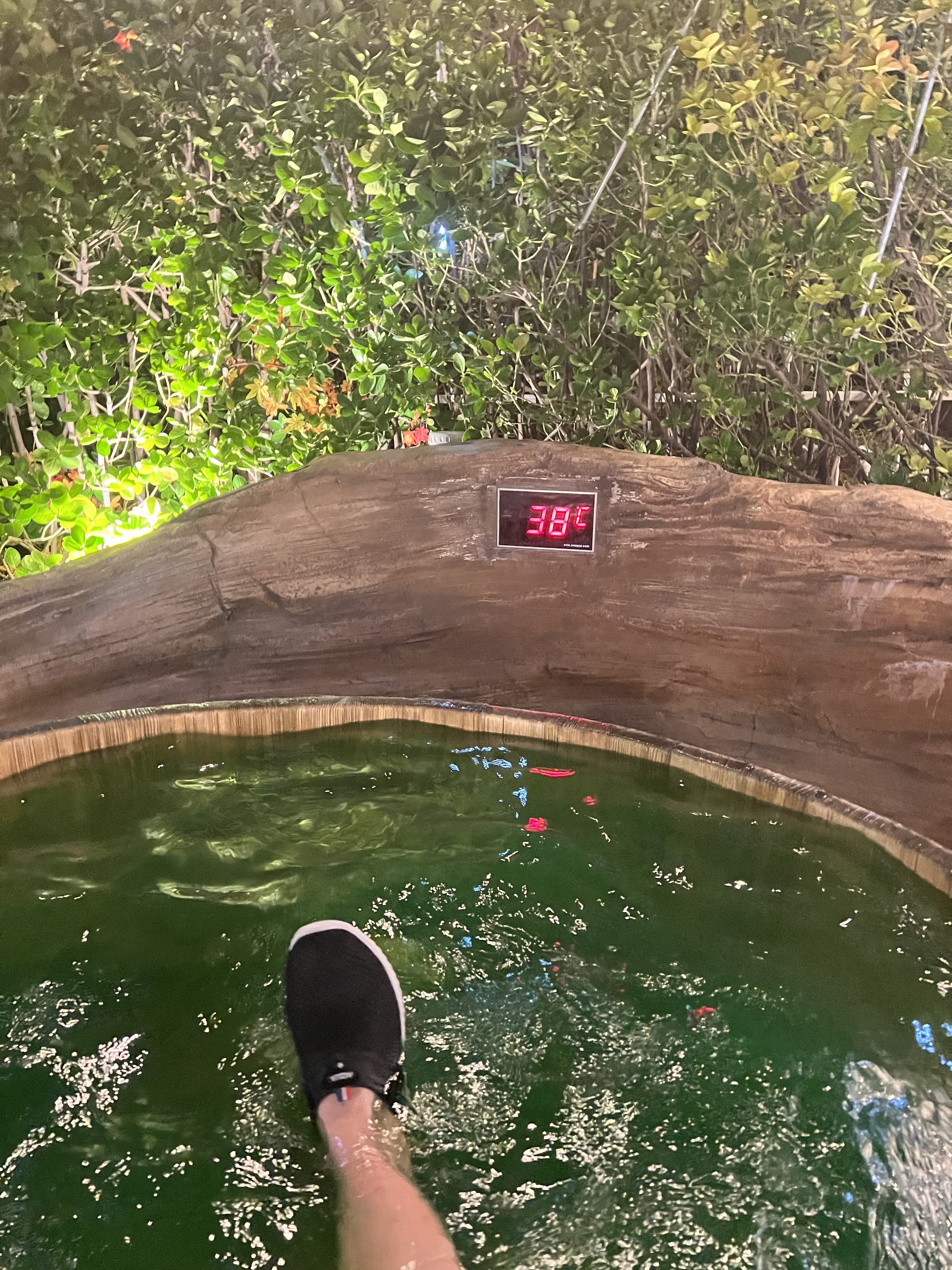 한화리조트 설악 쏘라노 워터피아 나이트스파