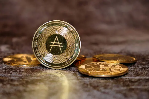 아더코인 호재 전망