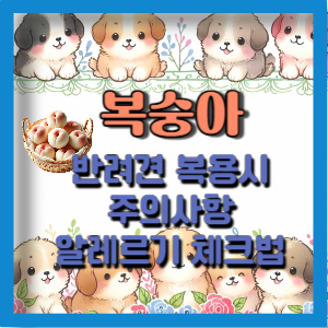 강아지 복숭아 복용 시 주의사항 알레르기 체크법