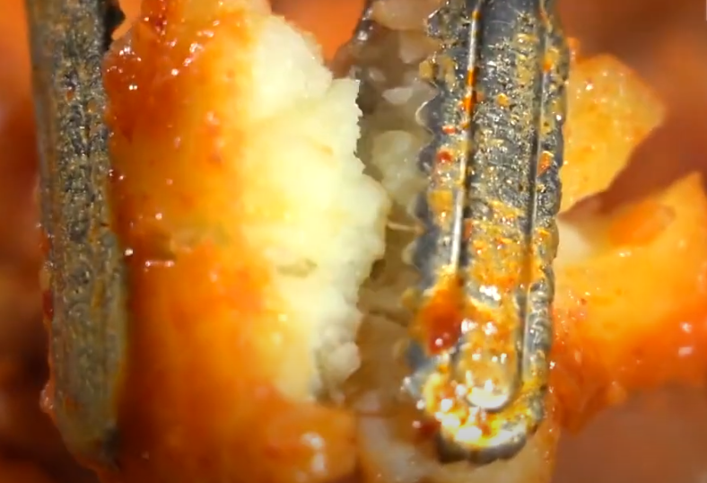 KBS 생생정보통 닭볶음탕 맛집 18