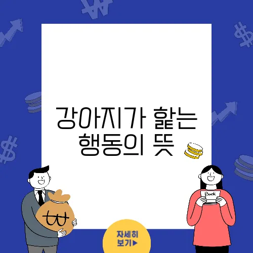 강아지가 핥는 행동의 뜻, 얼굴에서 발까지 숨겨진 의미들