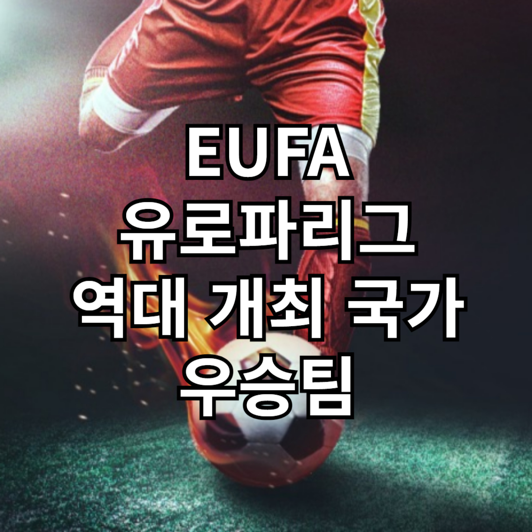 EUFA 유로파 리그 역대 개최지 리스트 및 우승팀