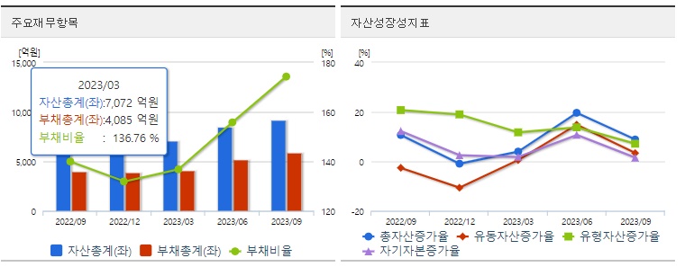 엔켐주식재무지표