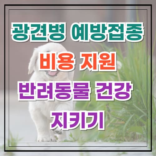 광견병 예방접종 비용 지원 반려동물 건강 지키기 필수 가이드