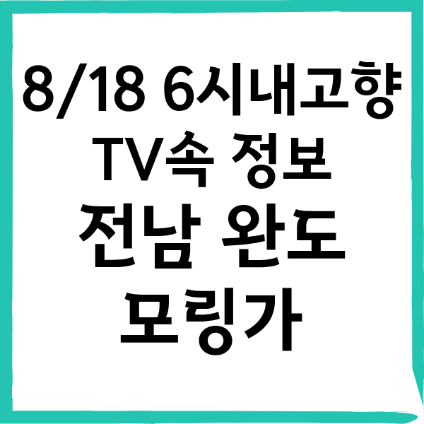 6시내고향 완도 모링가 파는곳 택배 구매 방법 및 효능 총정리