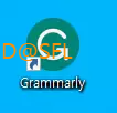 Grammarly 바로가기 아이콘